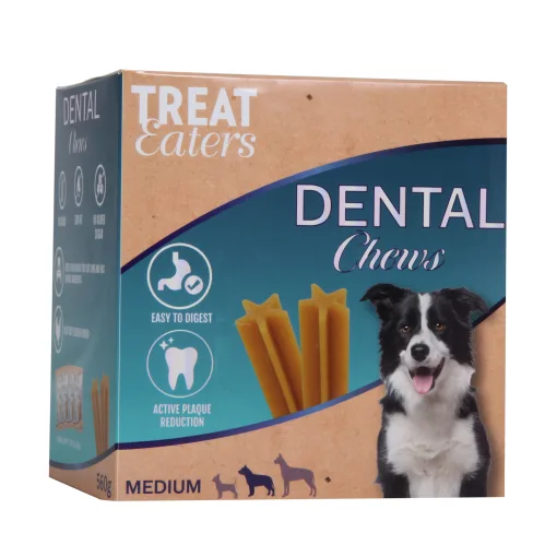 Dental Sticks Box (7x4) 560g