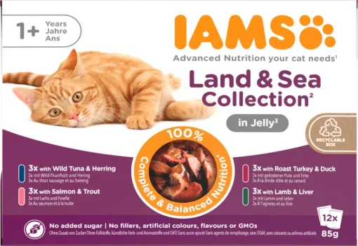 IAMS DELIGHT CAT Adult kød- og fiskesmag i gelé 12x85g